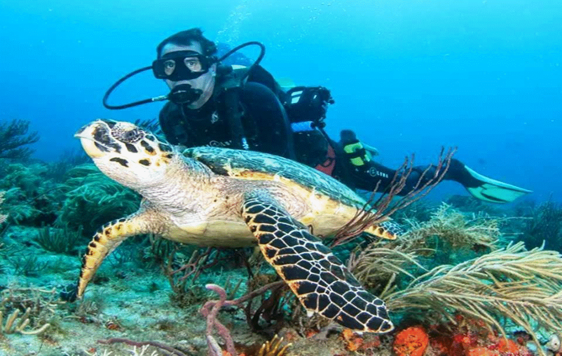 Scuba Diving & Snorkelling in Cyprus