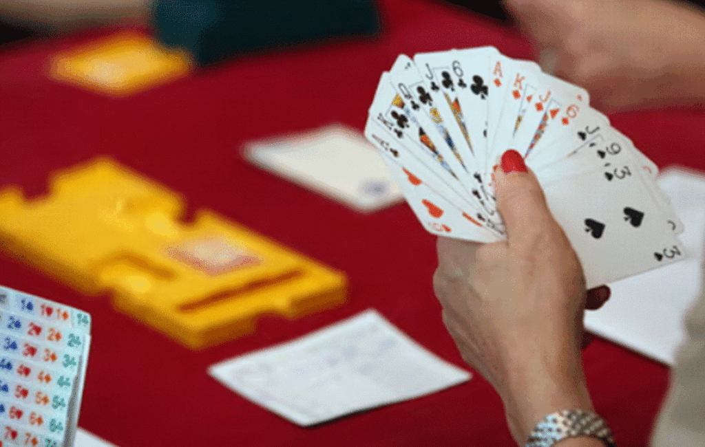 Playing Bridge in Cyprus