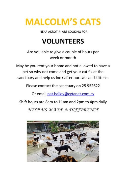 Volunteers Needed In Limassol