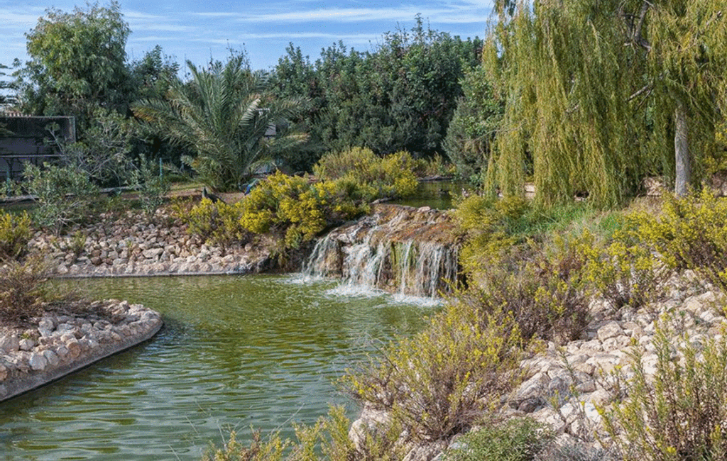 The Tranquil Gardens Of The Pafos Zoo