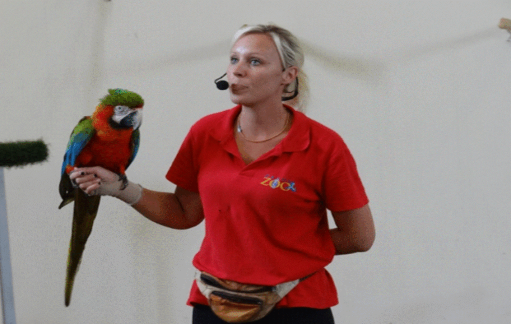 The Parrot & Owl Show At The Pafos Zoo