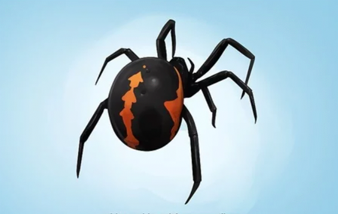 THE MEDITERRANEAN FALSE BLACK WIDOW SPIDER IN CYPRUS - Cyprus Traveller ...