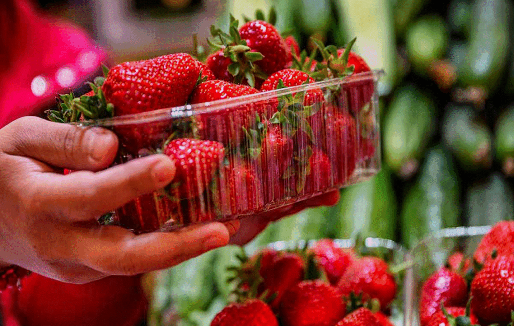 Cyprus Strawberries Grown In Deryneia