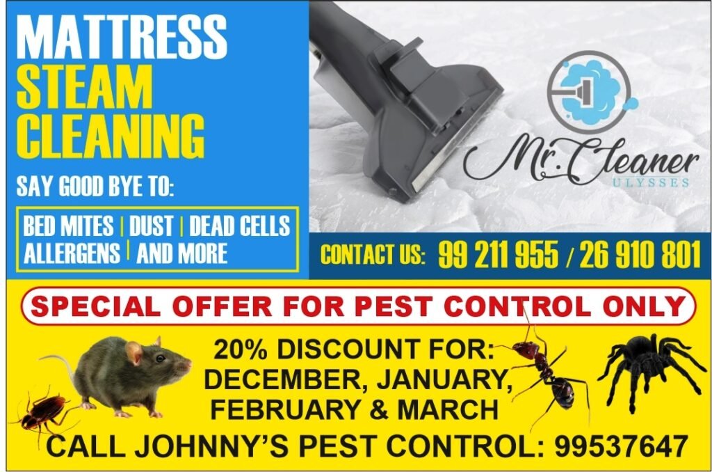 Pest Control In Cyprus