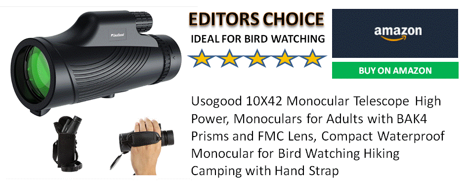 Purchase A Monocular From Amazon