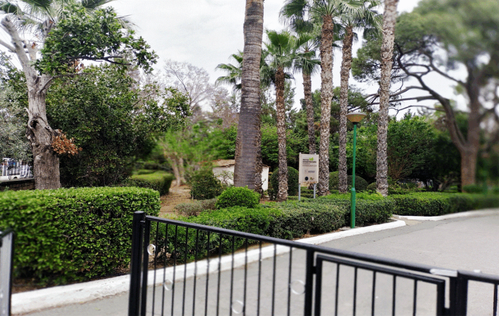 The Municipal Public Gardens In Limassol City Cyprus