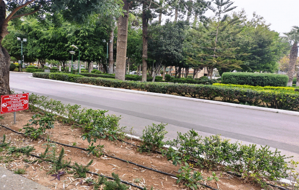 The Municipal Public Gardens In Limassol City Cyprus