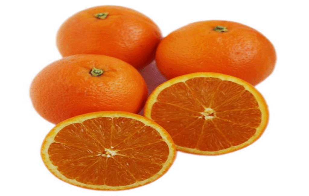 Cyprus Oranges