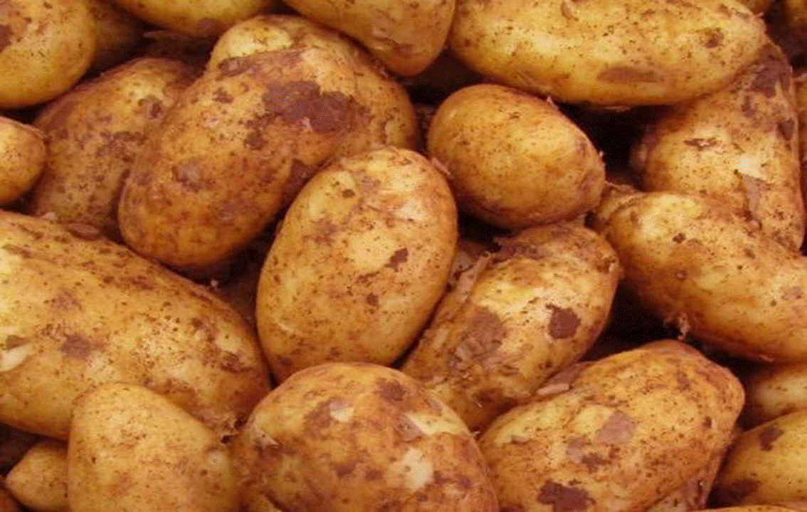 The Cyprus Potato Of The Red Villages Of Cyprus