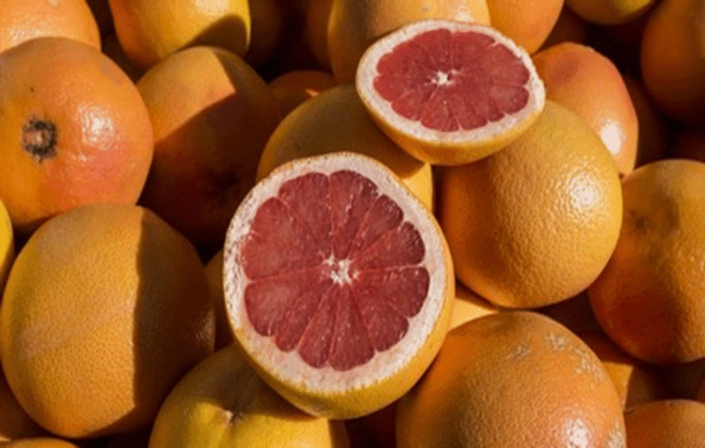 Cyprus Grapefruit