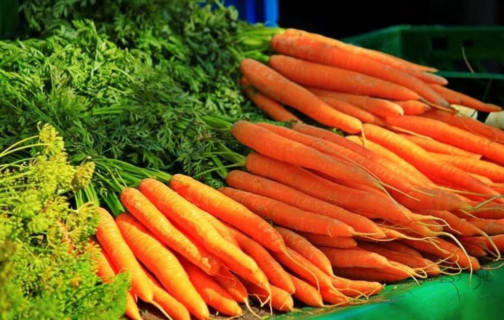 The Liopetri Carrot Festival In Cyprus