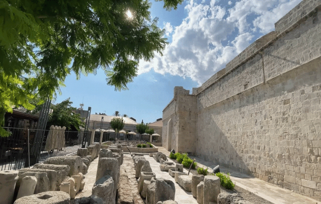 The castle of Limassol