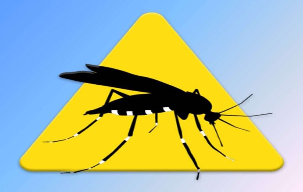 There Are 22 Types Of Mosquito In Cyprus
