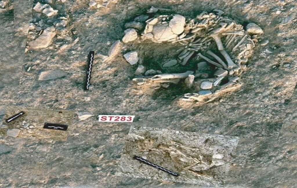 The Famous 9,500 Year Old Cat Grave At The Neolithic Archaeological Site Of Shillourokambos