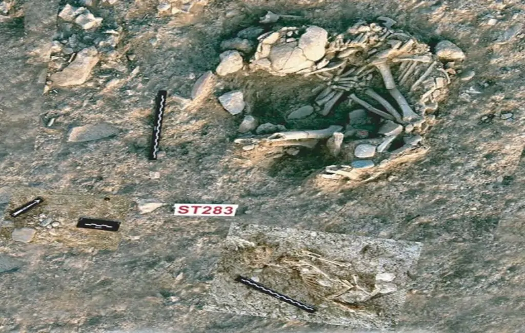 The Famous 9,500 Year Old Cat Grave At The Neolithic Archaeological Site Of Shillourokambos