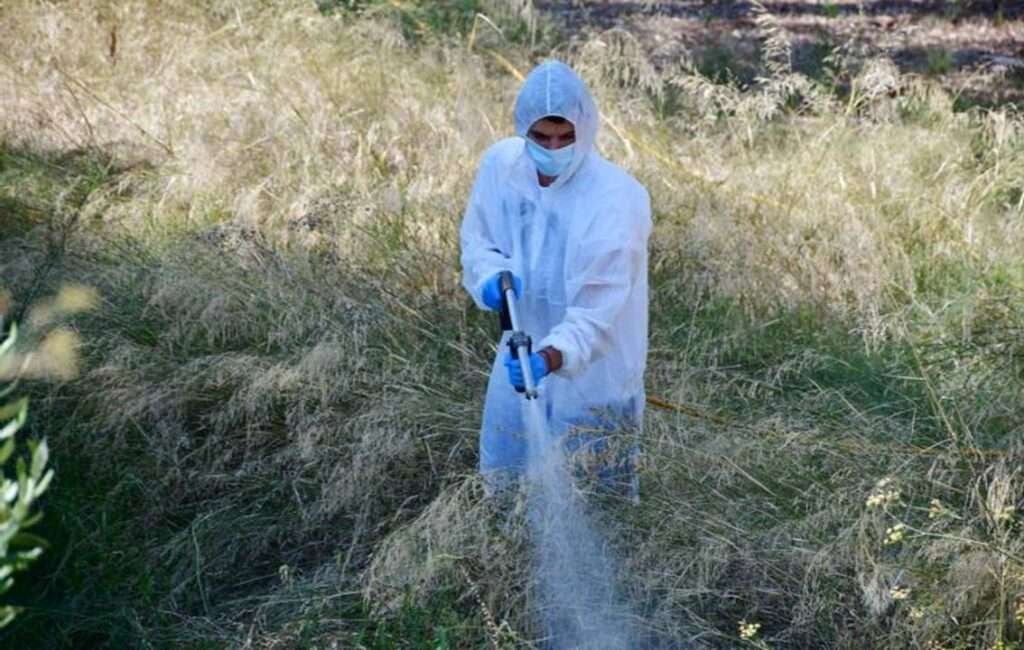 Pest Control In Cyprus