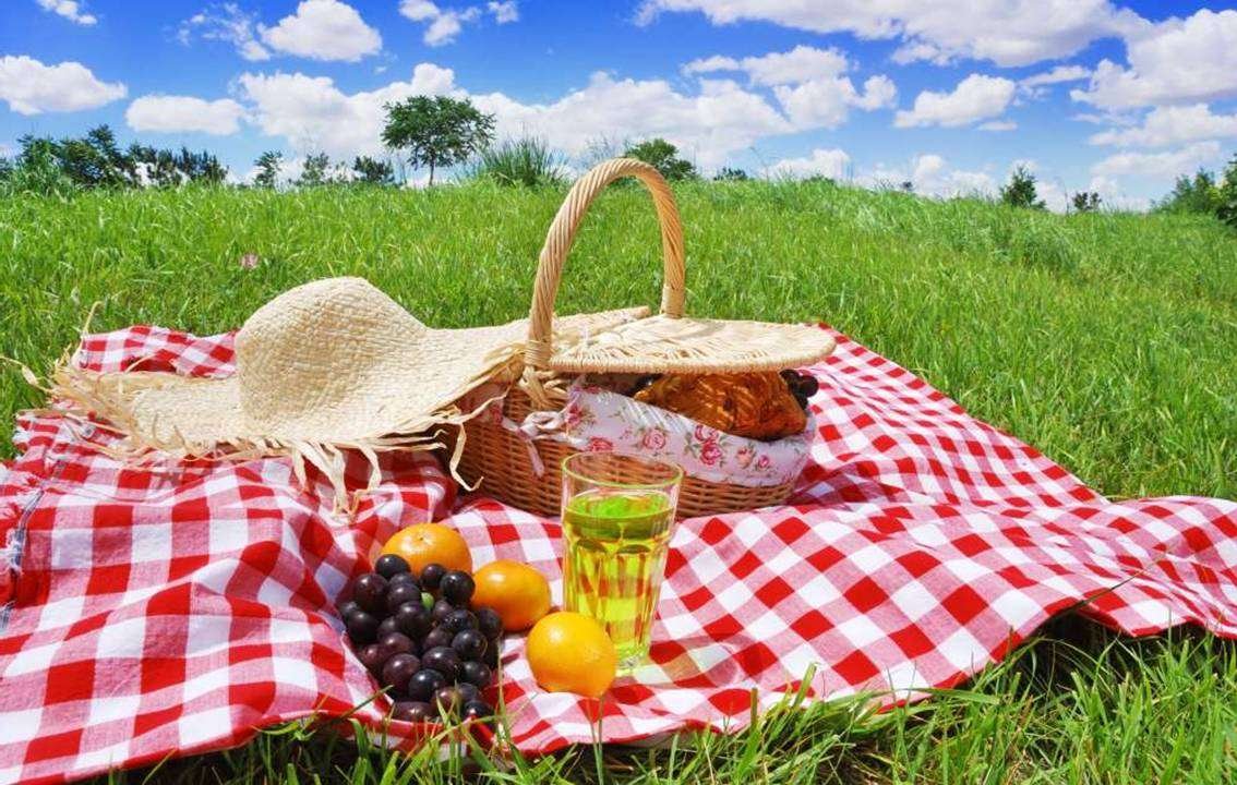 Picnic Rules In Cyprus