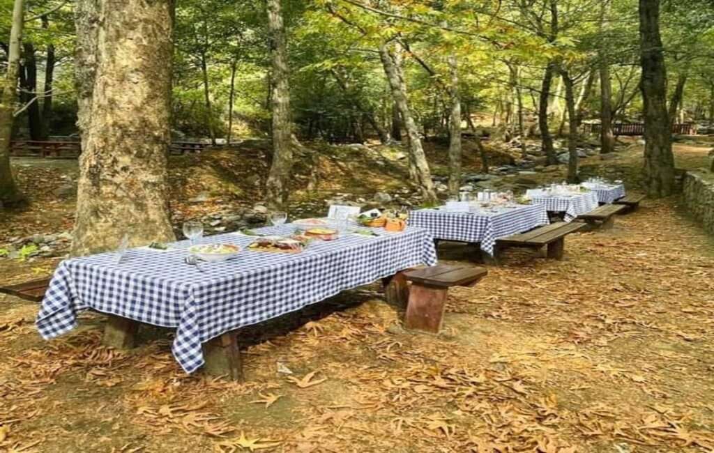 Taking A Picnic In Cyprus