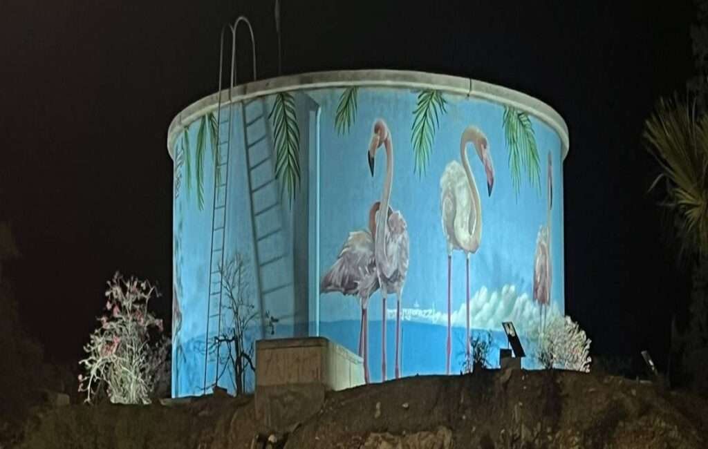 The Infamous Flamingoes In Larnaca Cyprus