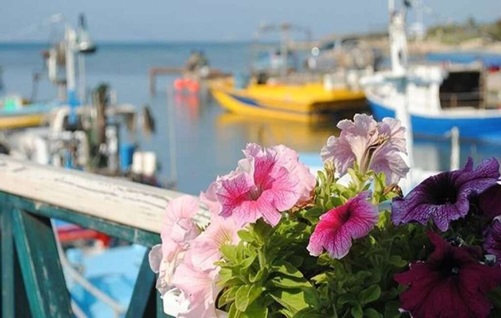 A High Life Expectancy When Living In Cyprus