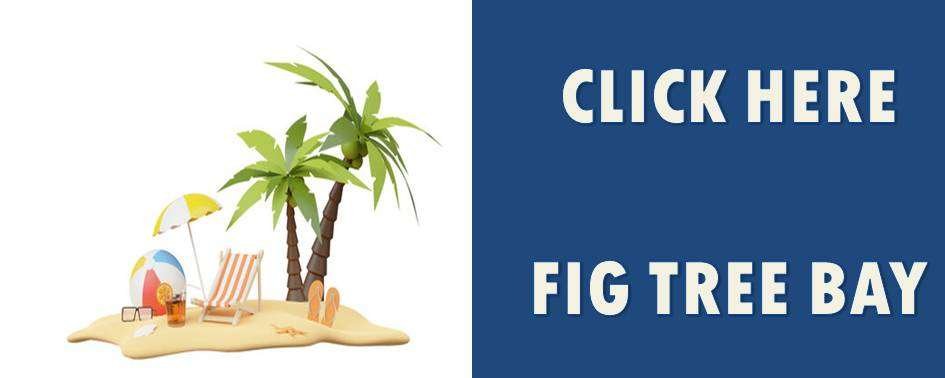 Click Here To Read About Fig Tree Bay In Cyprus