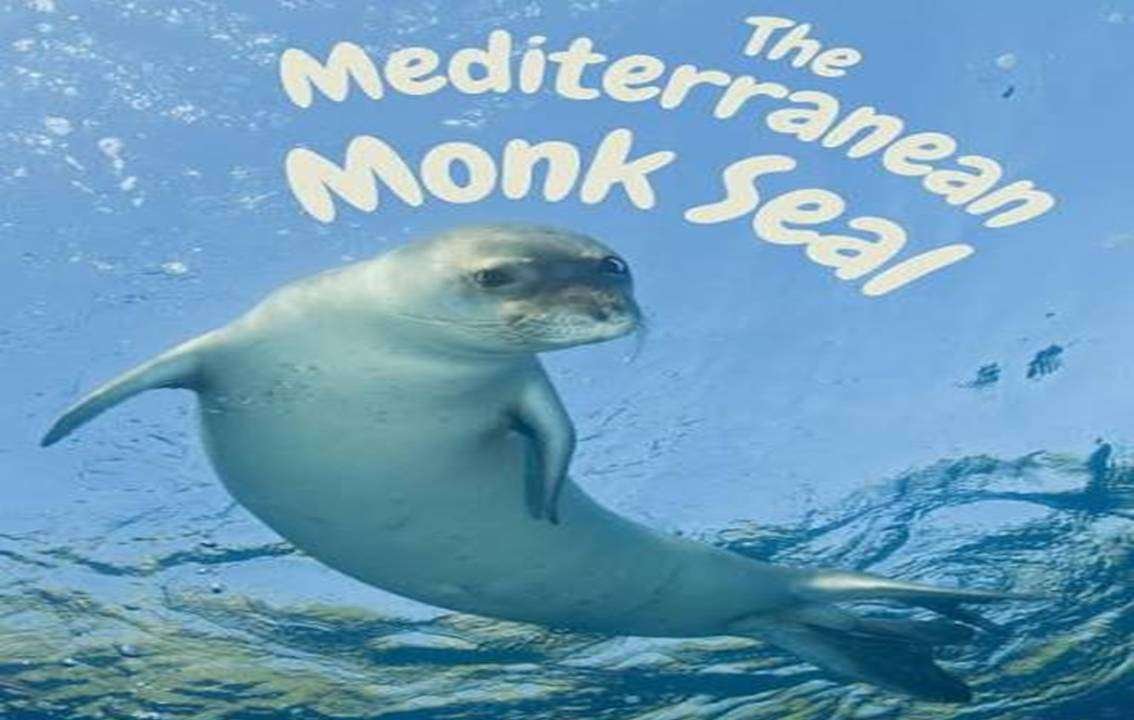 The Mediterranean Monk Seals Of Cyprus