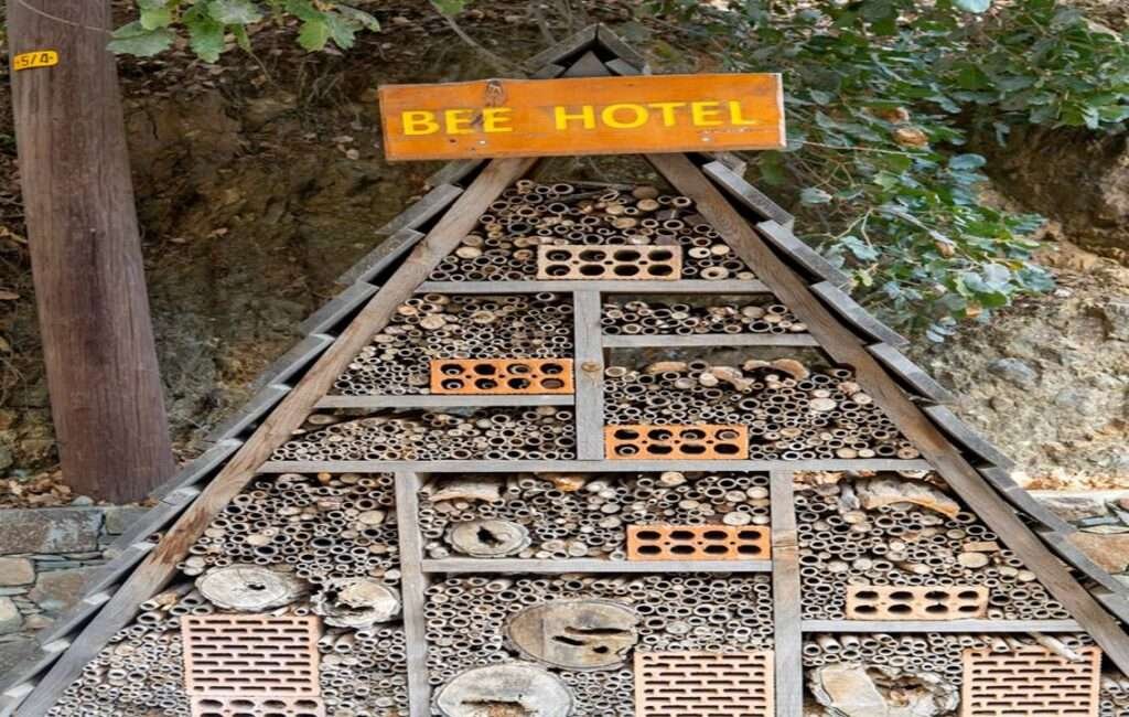 The Famous Bee Hotel In The Village Of Vavatsinia