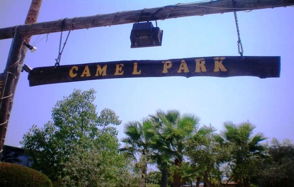 The Entrance To The Camel Park In Mazotos Village Cyprus