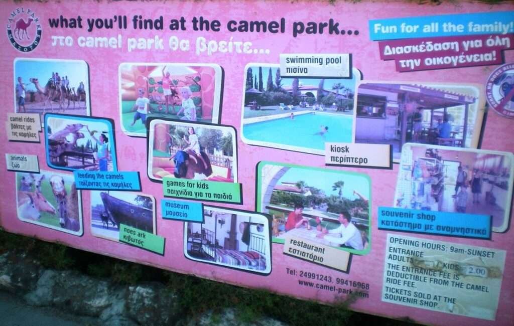 A guide To the Camel Park In Mazotos Village Cyprus
