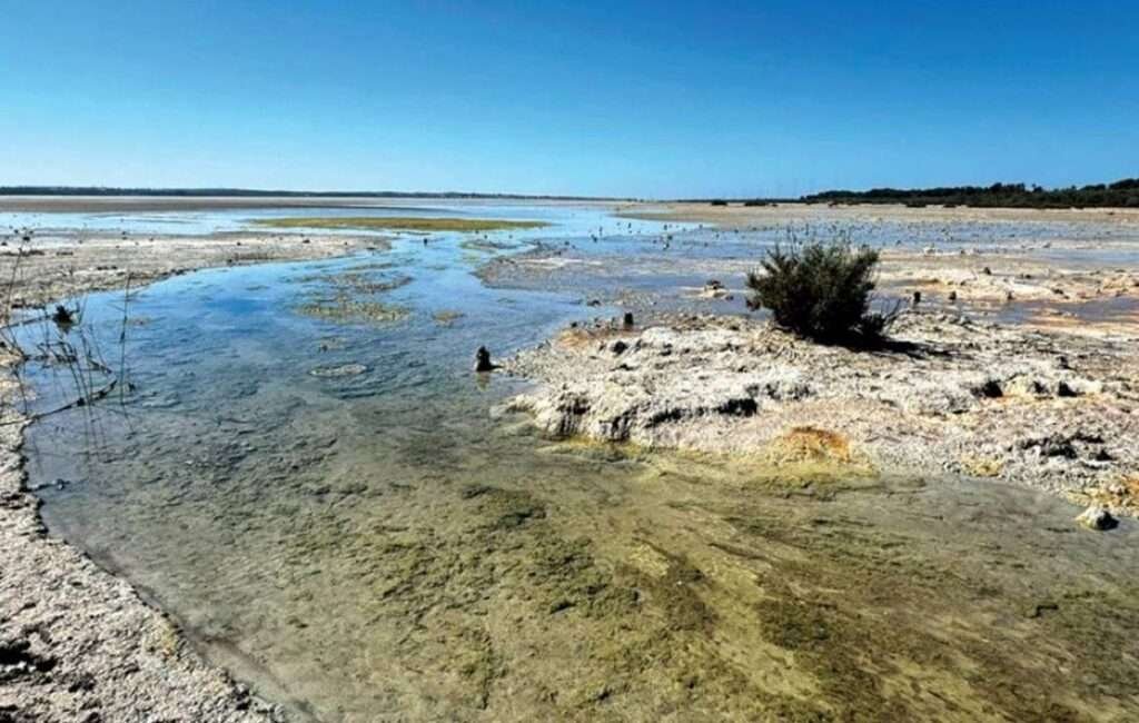 Salt Lake Wetlands In Cyprus