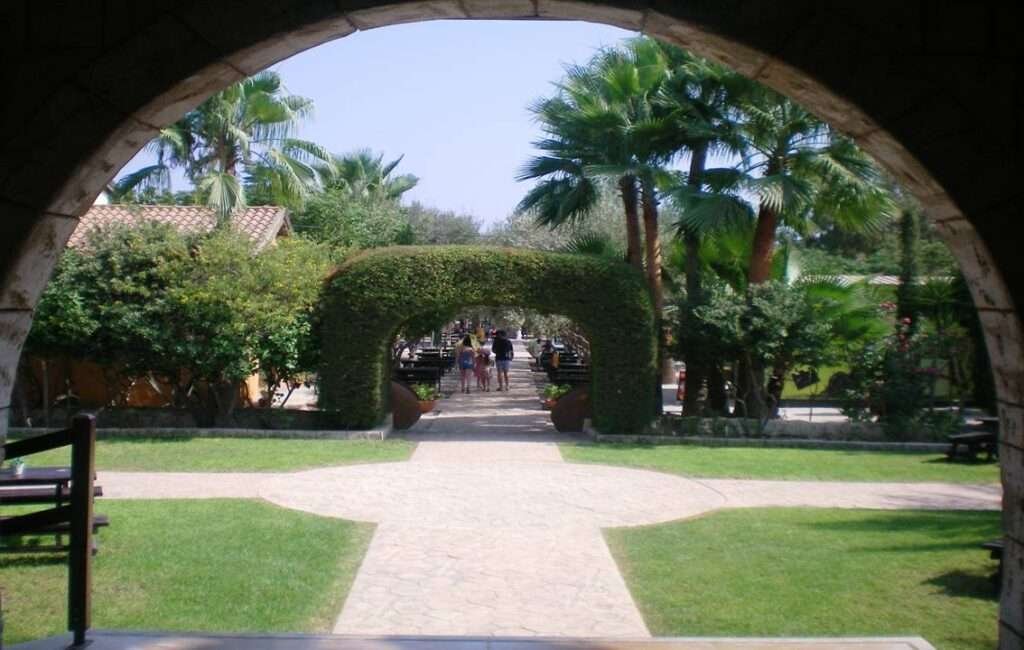 Larnacca's Camel Park In Mazotos Village Cyprus